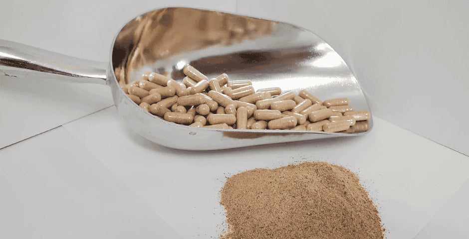 Akuamma Fieber Schmerzlinderung Artikel Kratom World