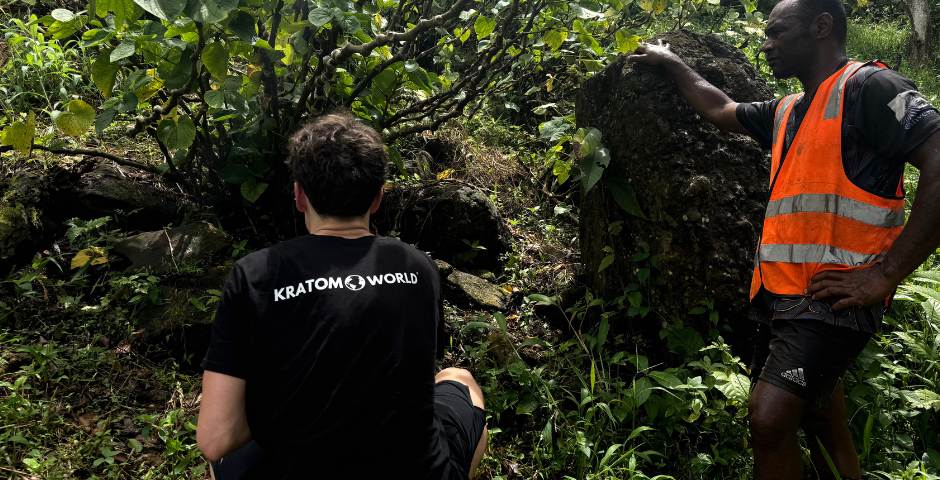 Besuchen Sie die Kava Kava Fiji Kratom World Farm