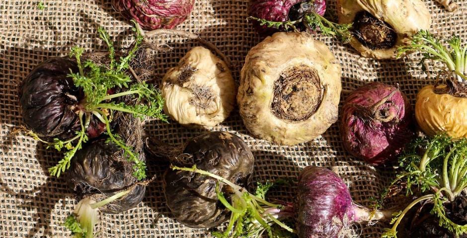 Ashwagandha, Maca, Shilajit: Adaptogenen voor stress, energie en immuniteit