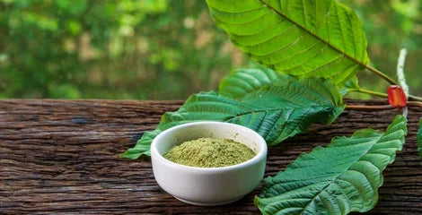 Kratom und CBD – Der Vergleich