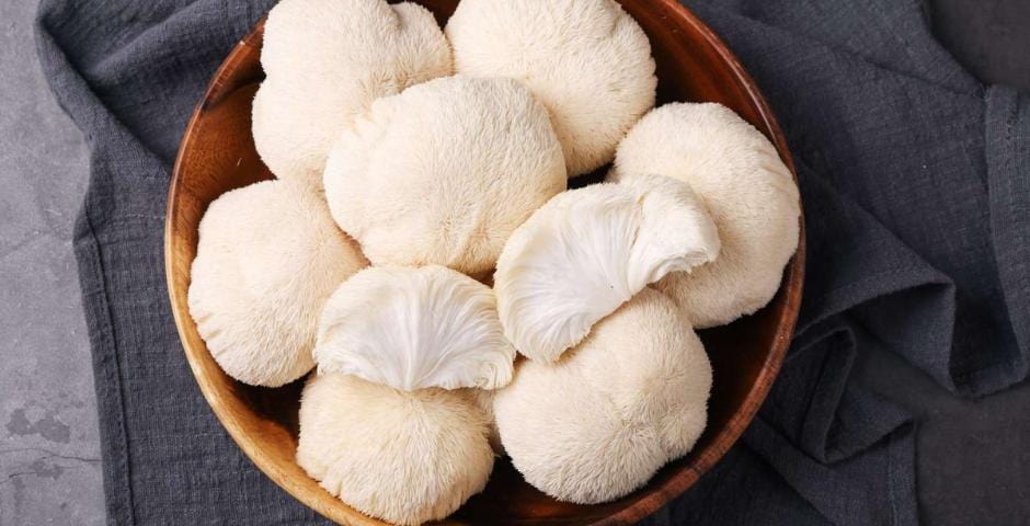 MindBooster und Focus Mushroom Blend: Wie kann man die Konzentration auf natürliche Weise verbessern?