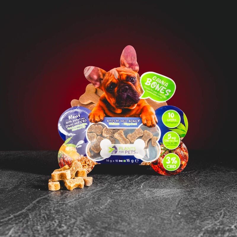 CBD-Leckereien für Haustiere