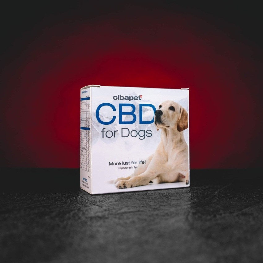 CBD pastilles voor huisdieren