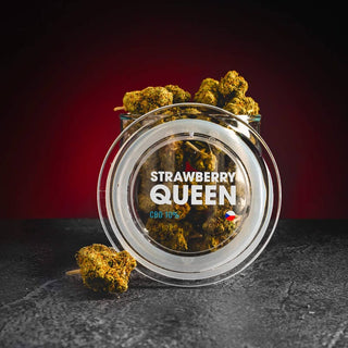 CBD Strawberry Queen 10% - 1g