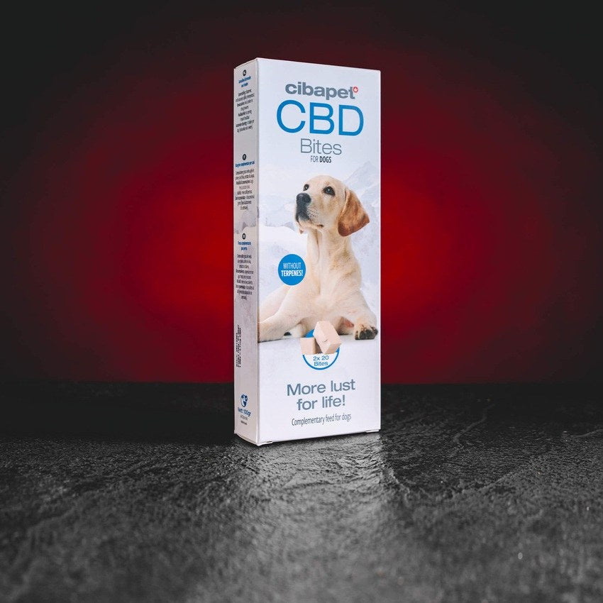 CBD Snacks voor honden